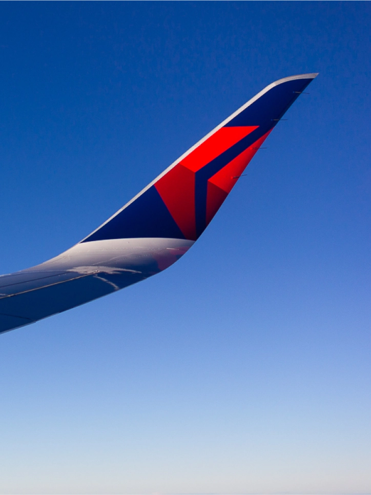 delta airplane wing