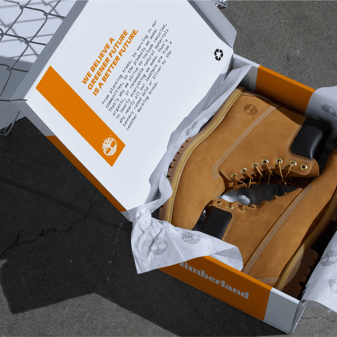 Timberland