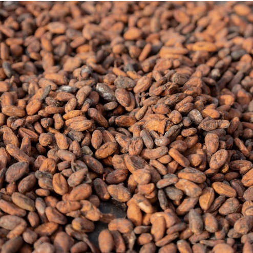 coffee beans